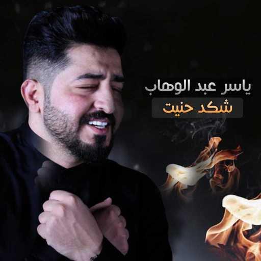 كلمات اغنية ياسر عبد الوهاب – شكد حنيت مكتوبة