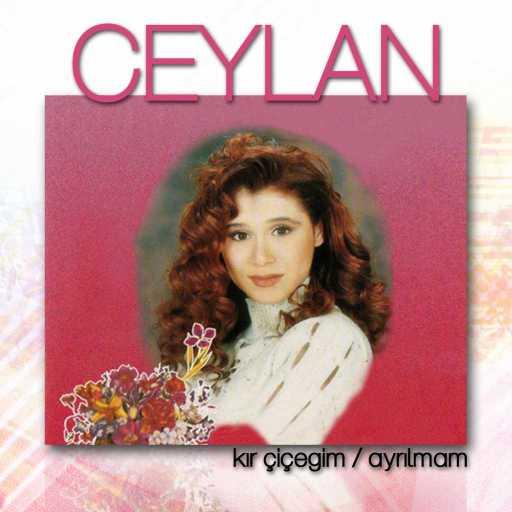كلمات اغنية Ceylan – Kır Çiçeğim مكتوبة