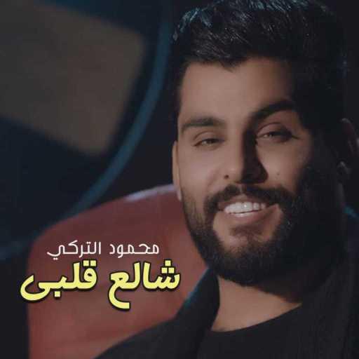 كلمات اغنية محمود التركي – شالع قلبي مكتوبة