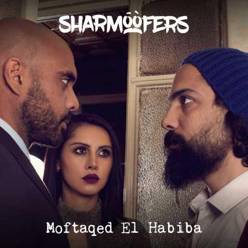 كلمات اغنية شارموفرز – مفتقد الحبيبة مكتوبة