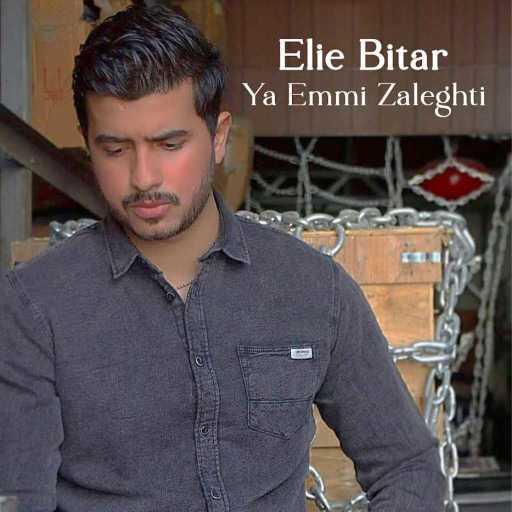 كلمات اغنية إيلي بيطار – يا أمي زلغطي مكتوبة