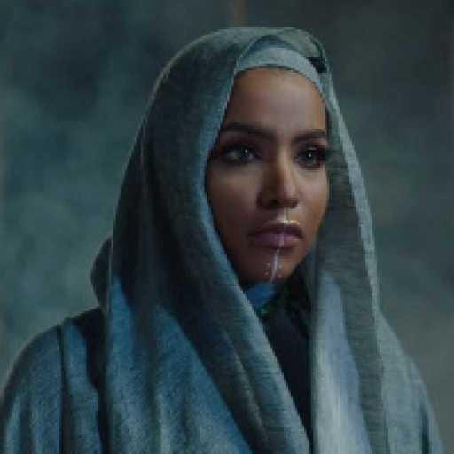 كلمات اغنية الاء الهندي – لا يحلم مكتوبة