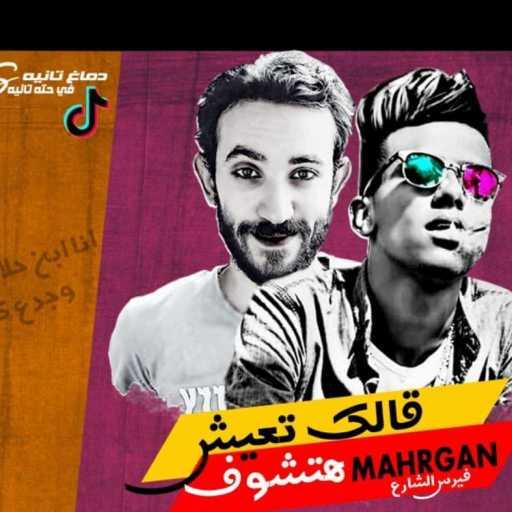 كلمات اغنية عصام صاصا – مهرجان قالك تعيش هتشوف مكتوبة