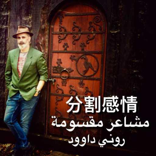 كلمات اغنية روني داوود – مشاعر مقسومة مكتوبة