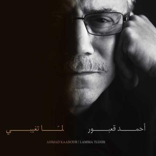 كلمات اغنية احمد قعبور – يا ستي ليكي مكتوبة