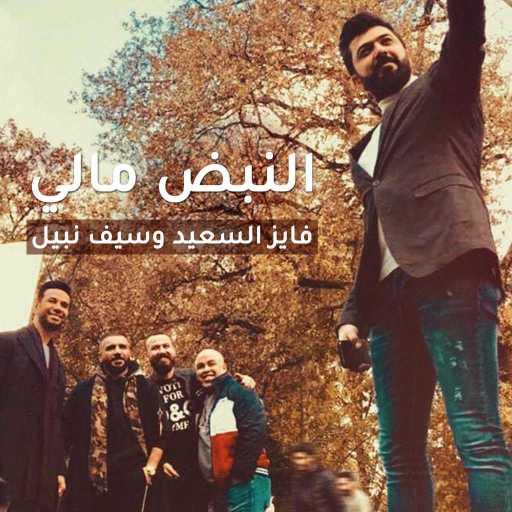 كلمات اغنية فايز السعيد وسيف نبيل – النبض مالي مكتوبة