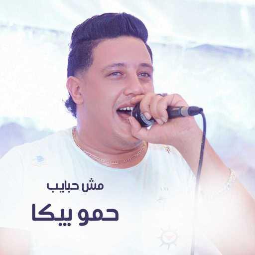 كلمات اغنية حمو بيكا – Mesh Habayeb مكتوبة