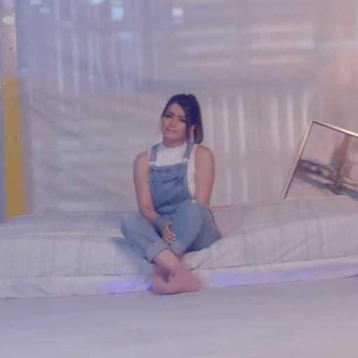 كلمات اغنية سيف عامر وديانا ورد – ارجع بالحلم مكتوبة