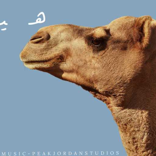 كلمات اغنية جماعة خير – هيجن مكتوبة