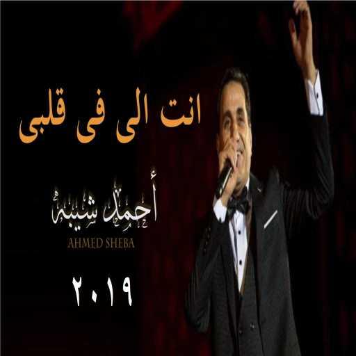 كلمات اغنية أحمد شيبة – انت الى فى قلبى مكتوبة