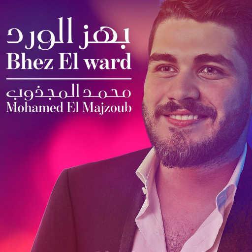 كلمات اغنية محمد المجذوب – بهز الورد مكتوبة
