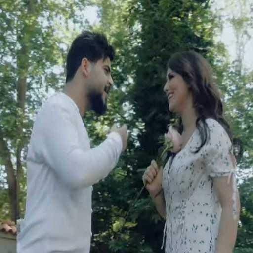 كلمات اغنية محمود الغياث وديانا ورد – دولتي مكتوبة