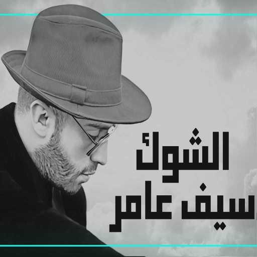 كلمات اغنية سيف عامر – الشوك مكتوبة