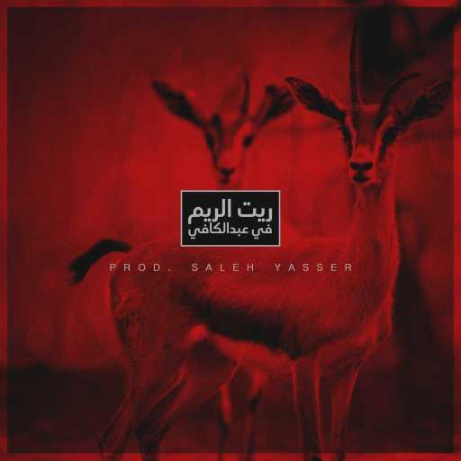 كلمات اغنية صالح ياسر – ريت الريم في عبدالكافي مكتوبة