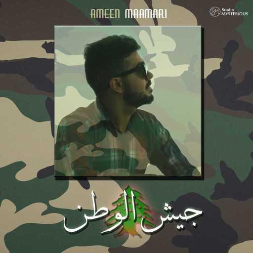 كلمات اغنية أمين معماري – جيش الوطن مكتوبة