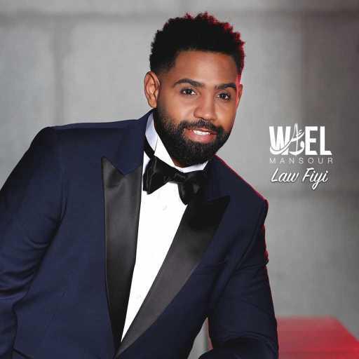 كلمات اغنية وائل منصور – لو فيي مكتوبة