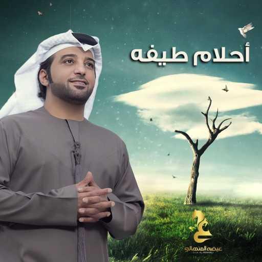 كلمات اغنية عيضة المنهالي – أحلام طيفه مكتوبة