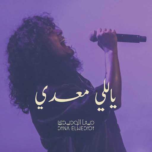 كلمات اغنية دينا الوديدي – يالي معدي مكتوبة