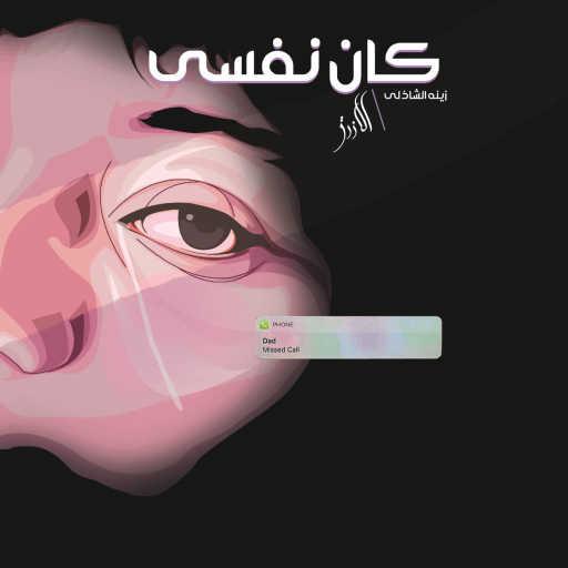 كلمات اغنية زينة الشاذلي – كان نفسى مكتوبة