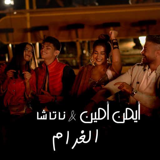 كلمات اغنية ايمن امين – الغرام (مع ناتاشا) مكتوبة