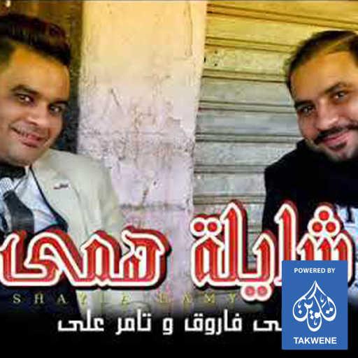 كلمات اغنية على فاروق و تامر على وعلي فاروق – لساكى ياما شايلة همى مكتوبة