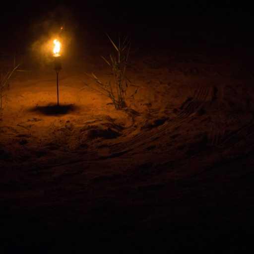 كلمات اغنية أحمد حسني  – اضاءة خافتة مكتوبة