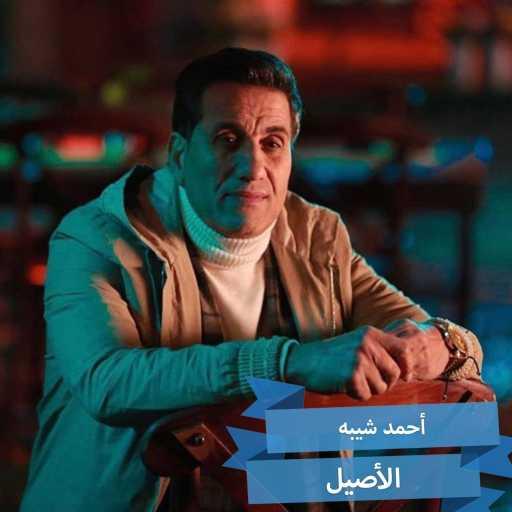 كلمات اغنية أحمد شيبة – الأصيل (من مسلسل الفتوة) مكتوبة