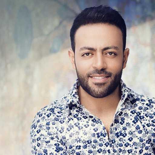 كلمات اغنية تامر عاشور – انت الحب مكتوبة