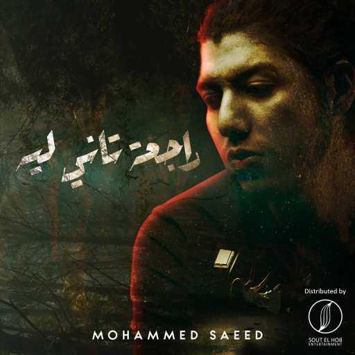 كلمات اغنية محمد سعيد  – راجعة تاني ليه مكتوبة