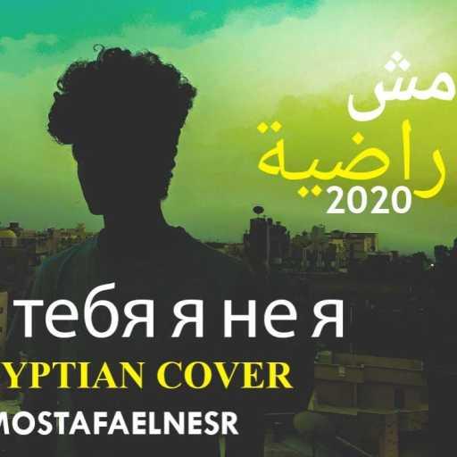 كلمات اغنية مصطفي النسر – مش راضية مكتوبة