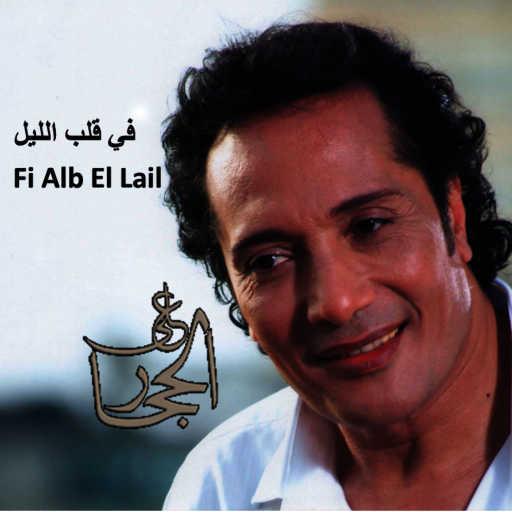 كلمات اغنية على الحجار – في قلب الليل مكتوبة