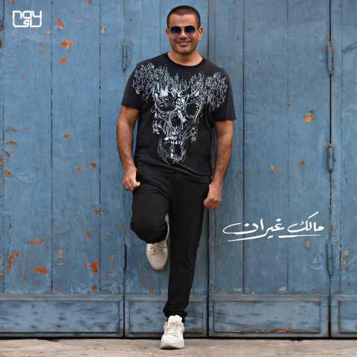 كلمات اغنية عمرو دياب – مالك غيران مكتوبة