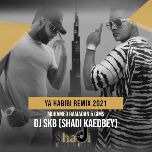 كلمات اغنية ديجي اس كي بي – محمد رمضان و ميتري جيمس – يا حبيبي  ريمكس مكتوبة