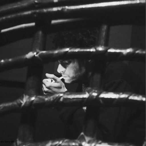 كلمات اغنية الفايف – سيبها على المولا مكتوبة