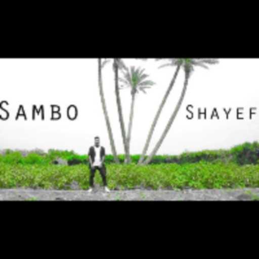 كلمات اغنية سامبو – شايف مكتوبة