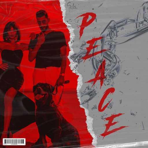 كلمات اغنية علاء – Peace مكتوبة