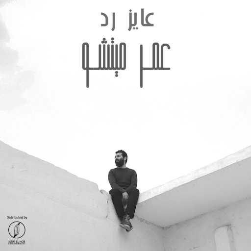 كلمات اغنية يوسف العدل و عمر ميتشو – عايز رد مكتوبة