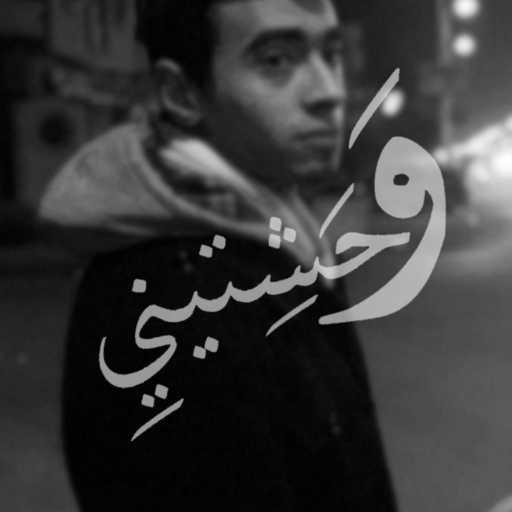 كلمات اغنية احمد خيرى – وحشتينى مكتوبة