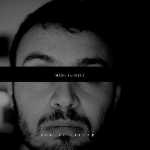 كلمات اغنية السينابتيك – مش صاحيلك مكتوبة