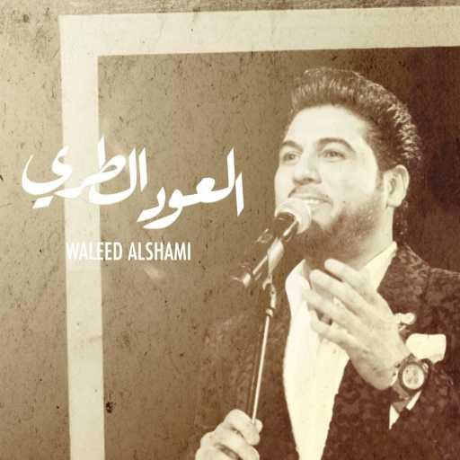 كلمات اغنية وليد الشامي – العود الطري مكتوبة