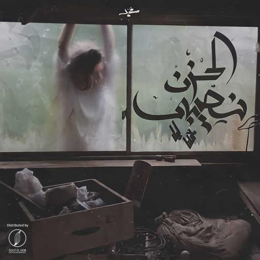 كلمات اغنية مازن محمود (المجهول) – الحزن نصيبي مكتوبة