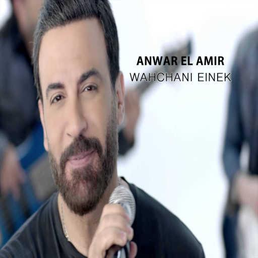 كلمات اغنية أنور الأمير – وحشاني عينيك مكتوبة