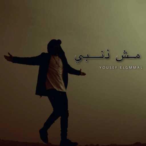 كلمات اغنية يوسف الجمال  – مش ذنبي مكتوبة
