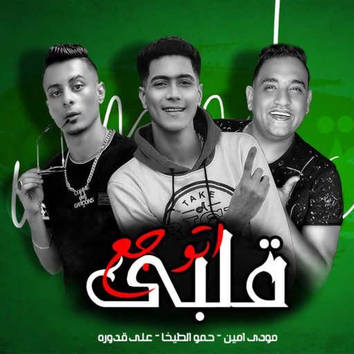 كلمات اغنية حمو الطيخا٬ مودى امين و علي قدوره – قلبى اتوجع مكتوبة