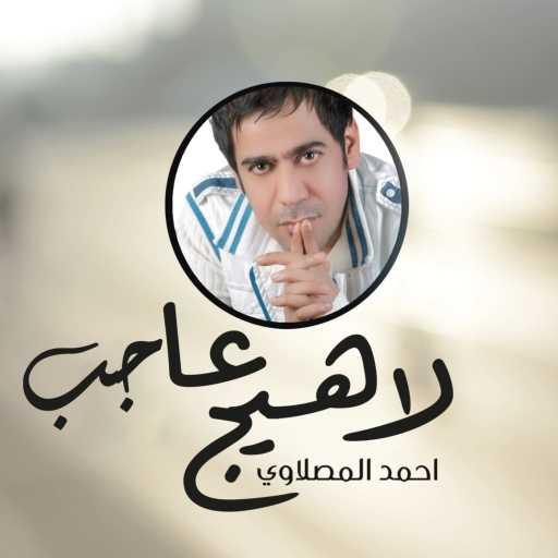 كلمات اغنية أحمد المصلاوي – لا هيج عاجب مكتوبة