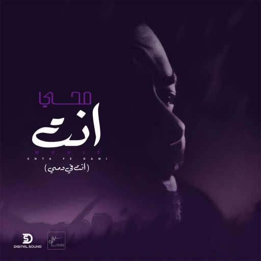 كلمات اغنية محمد محيي – انت في دمي مكتوبة