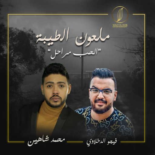 كلمات اغنية محمد شاهين – ملعون الطيبه (الحب مراحل) (مع فيجو الدخلاوي) مكتوبة
